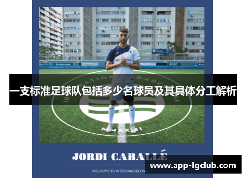 一支标准足球队包括多少名球员及其具体分工解析 一支标准足球队包括多少名球员及其具体分工解析
