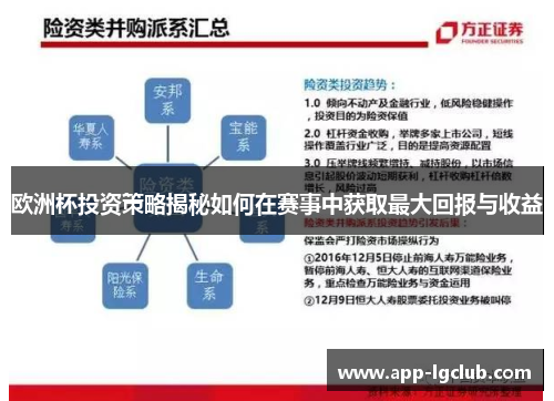 欧洲杯投资策略揭秘如何在赛事中获取最大回报与收益 欧洲杯投资策略揭秘如何在赛事中获取最大回报与收益