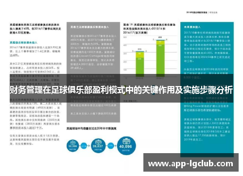 财务管理在足球俱乐部盈利模式中的关键作用及实施步骤分析