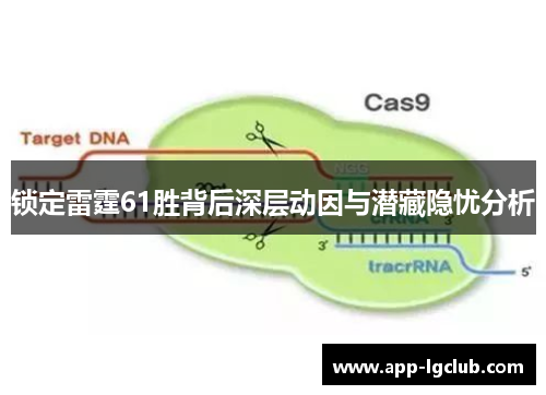 锁定雷霆61胜背后深层动因与潜藏隐忧分析