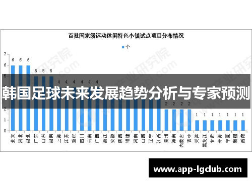 韩国足球未来发展趋势分析与专家预测