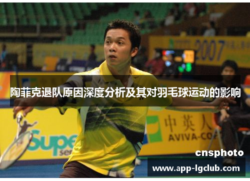 陶菲克退队原因深度分析及其对羽毛球运动的影响